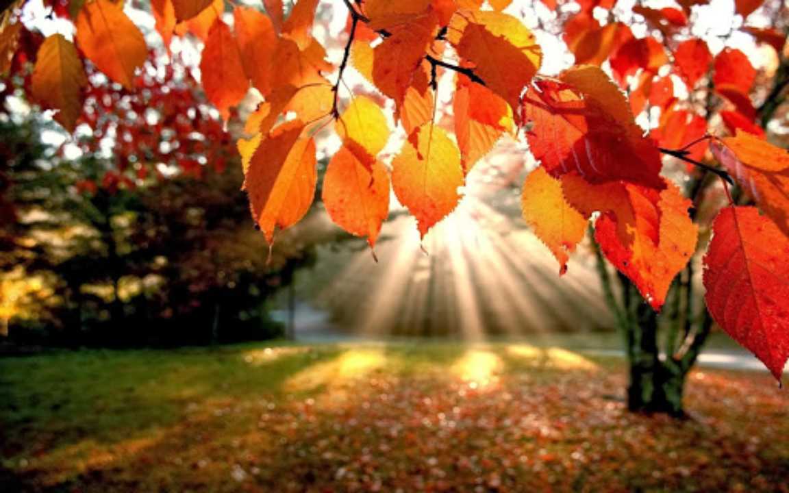 Meteo 29 ottobre, torna il sole in quasi tutto il territorio italiano