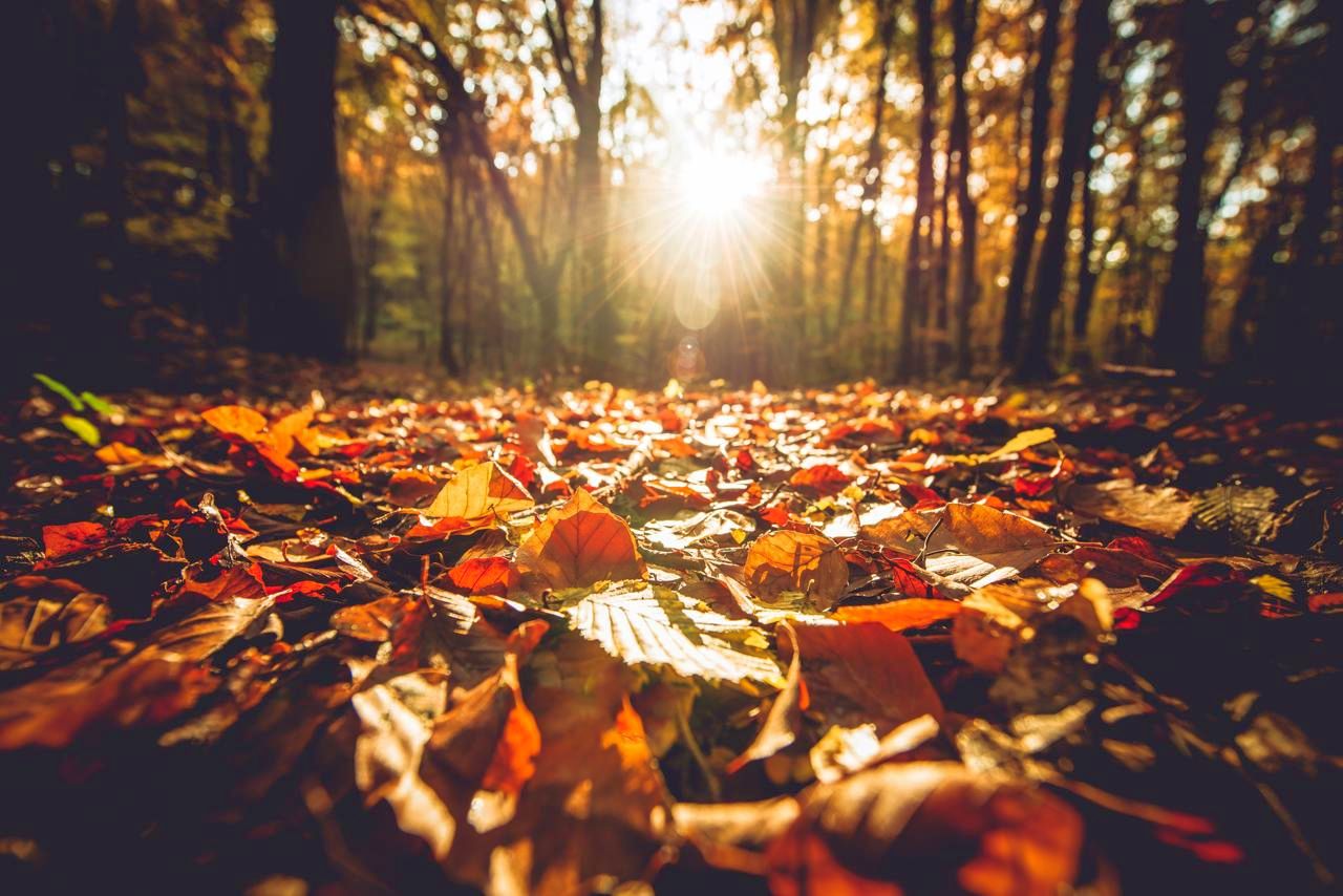 Previsioni meteo 11 novembre: bel tempo, resiste l'anticiclone