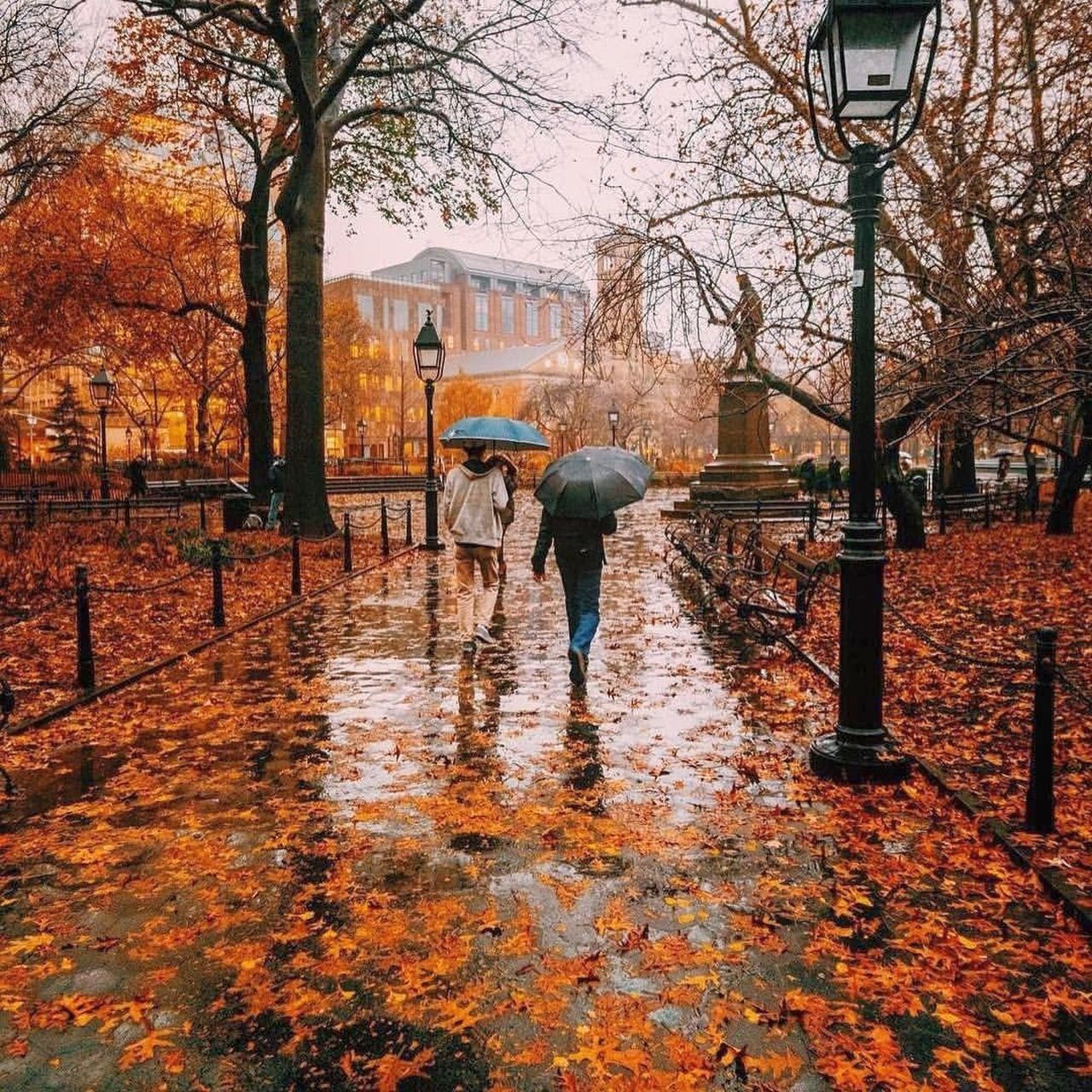 Previsioni meteo 17 novembre: ancora piogge, ma poi migliora