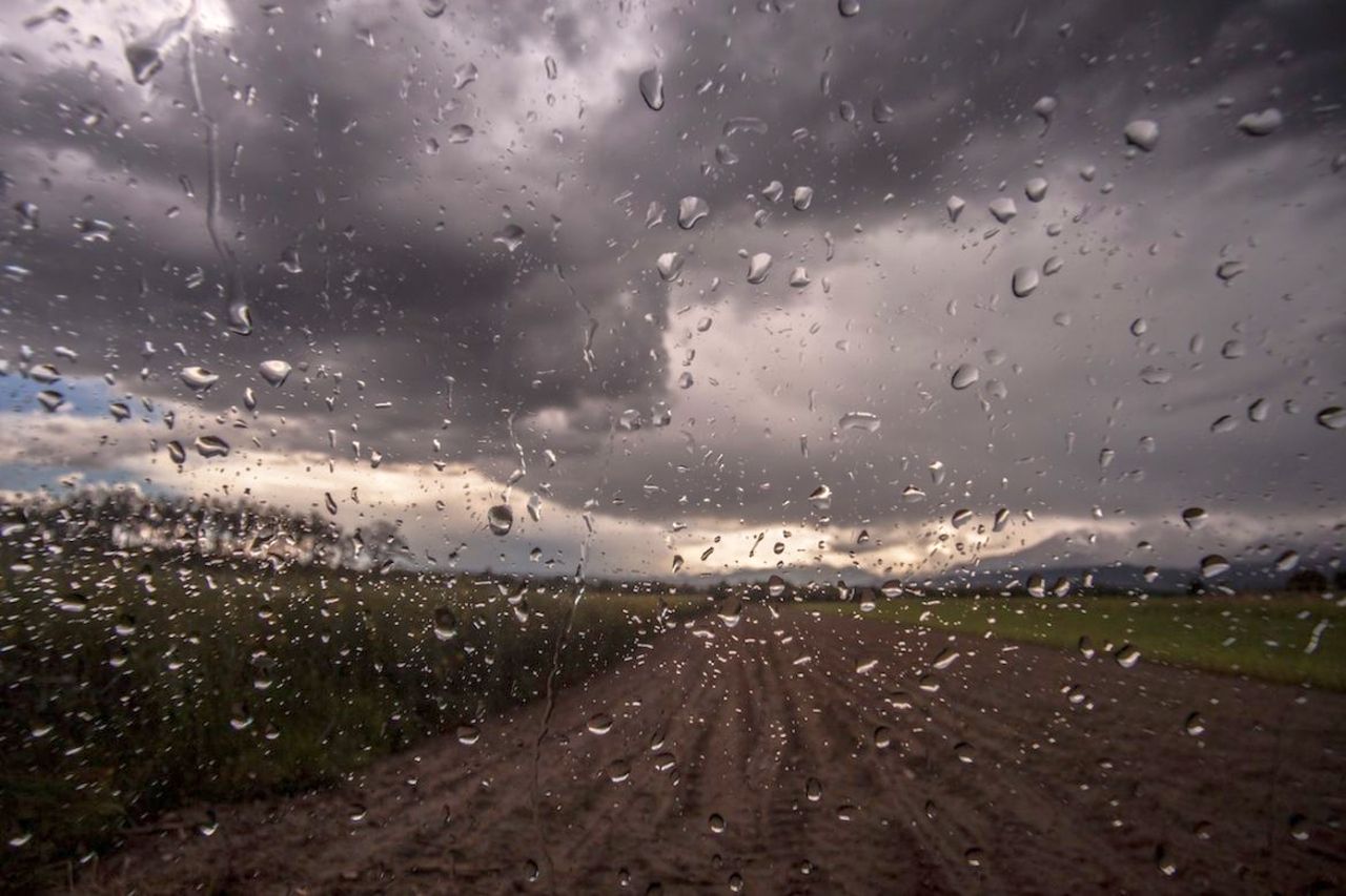 Previsiono meteo 16 novembre: piogge e maltempo diffuso