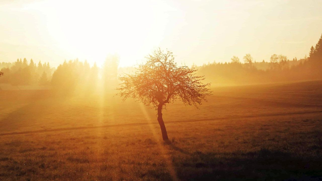 Previsioni meteo 9 novembre: prevale il sole, ma occhio alla nebbia