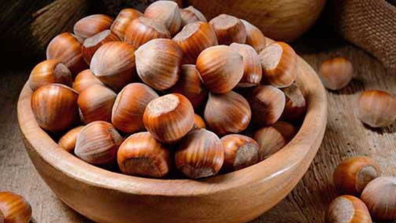 Nocciole benefici