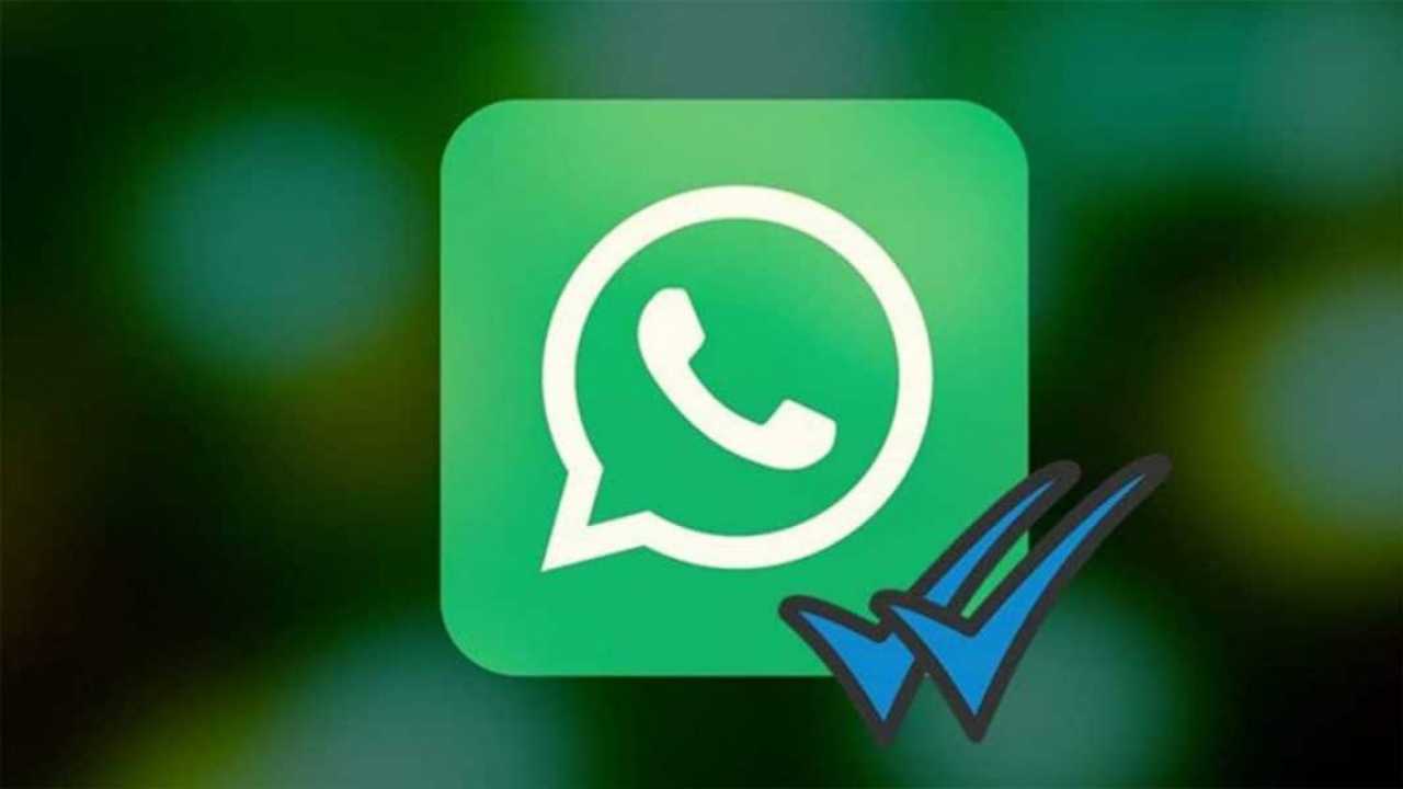 WhatsApp conferma lettura