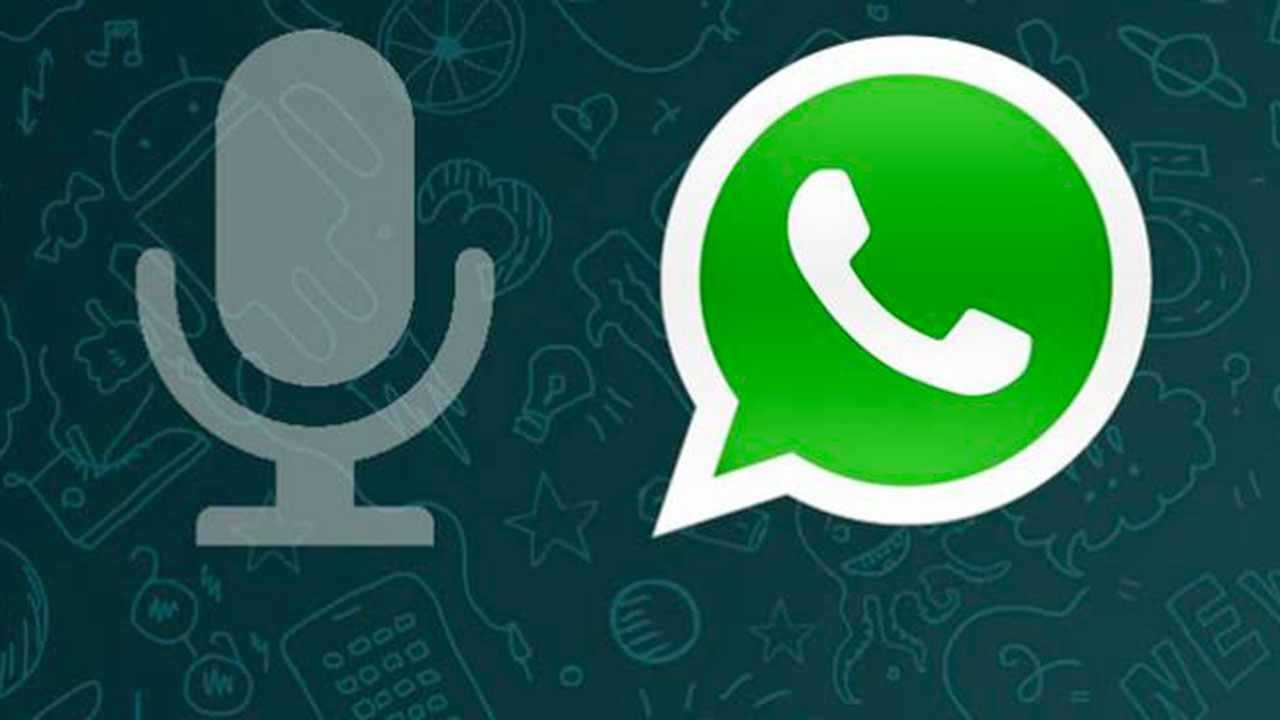 WhatsApp messaggi vocali