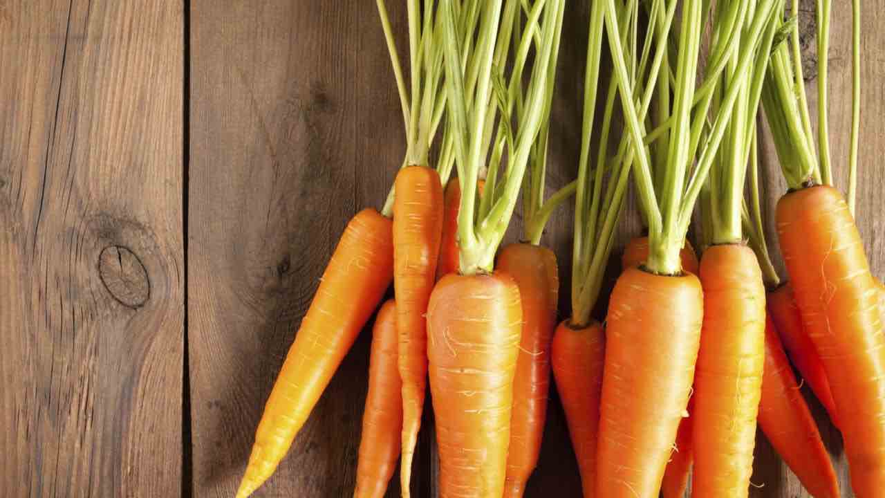 le-carote-arancioni onore alla-famiglia-reale-olandese-