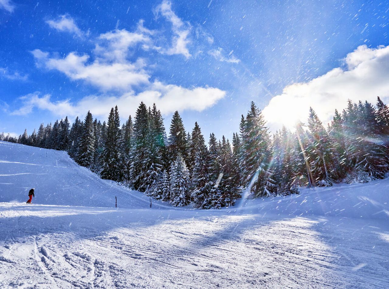 Previsioni meteo 15 dicembre: il sole delizierà questo martedì