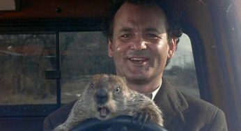 2 febbraio, il giorno della Marmotta. Sai cosa si celebra esattamente oggi?