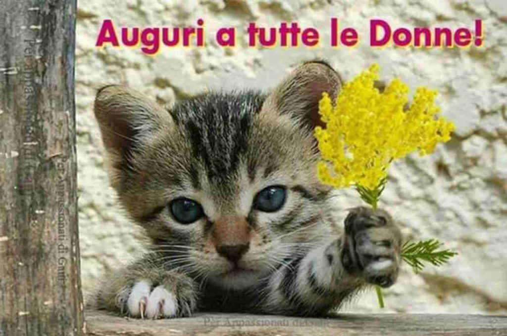 Festa Delle Donne 2021: Immagini Per Whatsapp