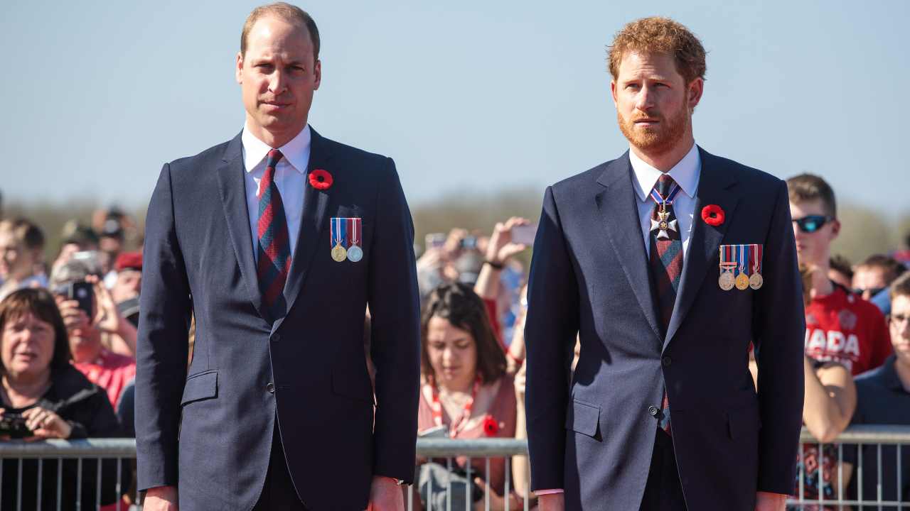 Harry e William copertina