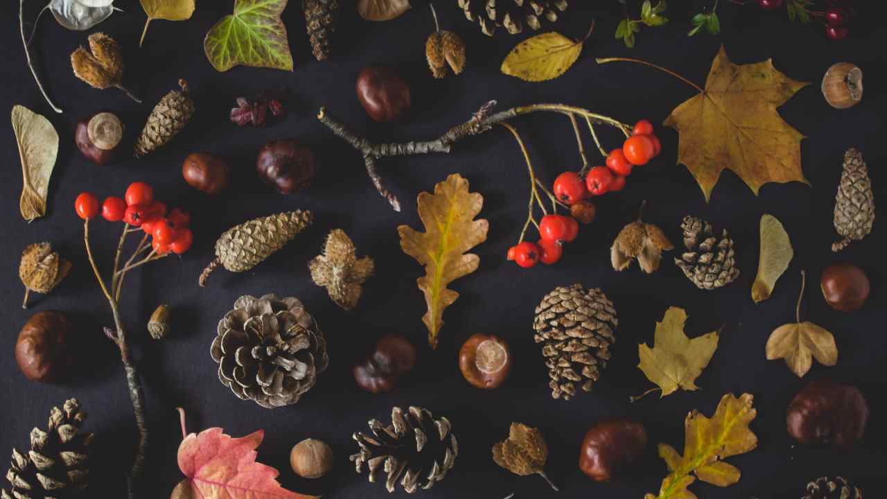 i segni che amano l'autunno