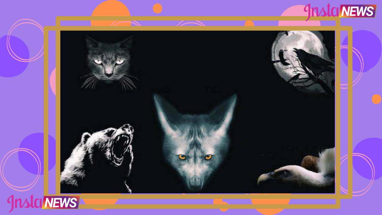 Test animale oscuro