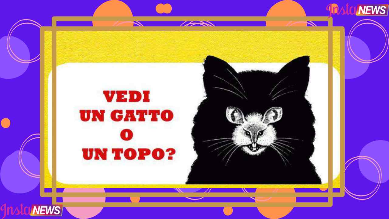 Test gatto o topo