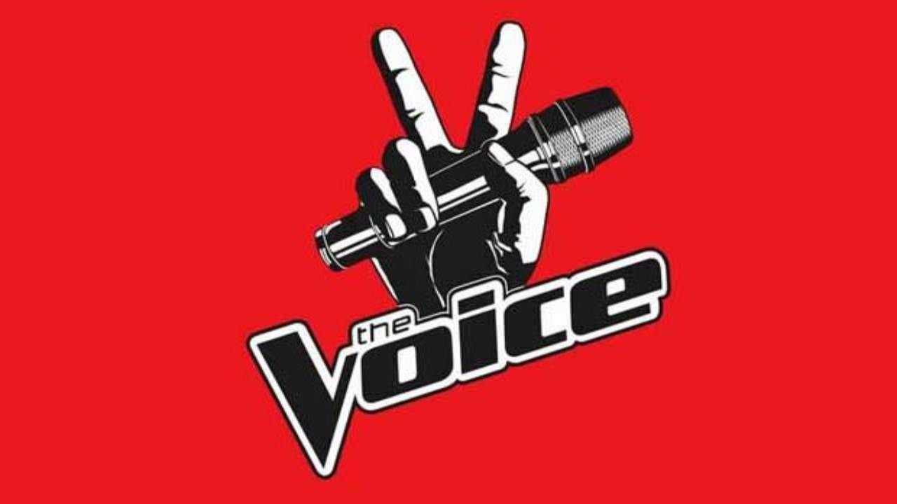 Era la star di The Voice: ecco com'è diventata e cosa fa oggi