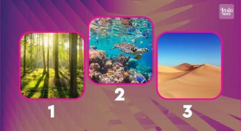 Test personalità: meglio il deserto, l’oceano o la foresta?