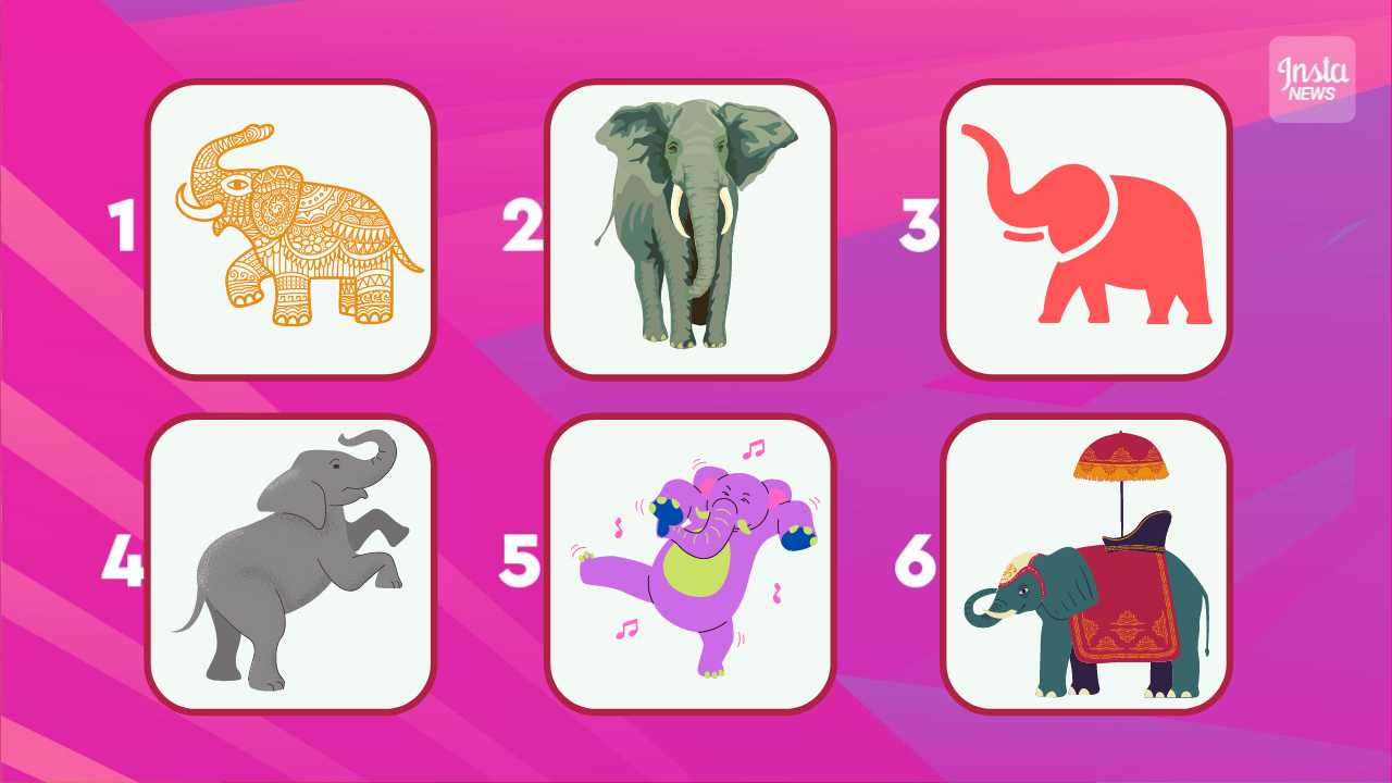 Test elefante