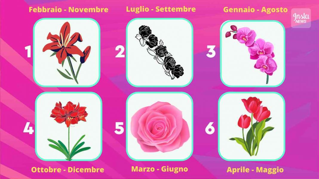 Iris Linea. Fiore Del Mese Di Nascita. Illustrazione di Stock - Illustrazione di arte, foglio