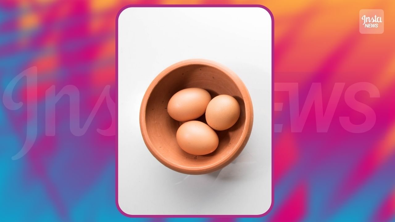 Test uova copertina