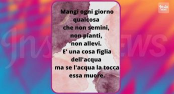 Sei in grado di risolvere un indovinello di logica così contorto?