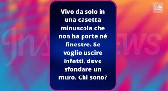 Sai indovinare di che animale parla l’indovinello? Scopri la risposta esatta!