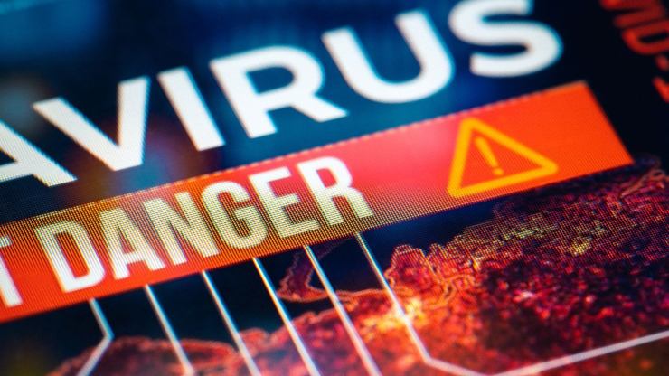 Marburg verità sul virus e contagi 