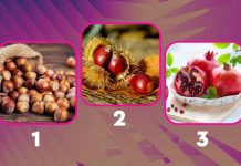 Test frutto autunnale