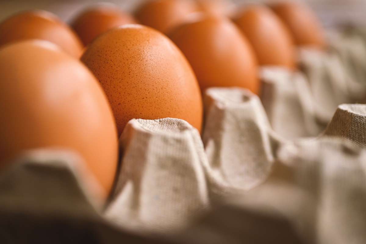 Uova ritirate, alto rischio salmonella